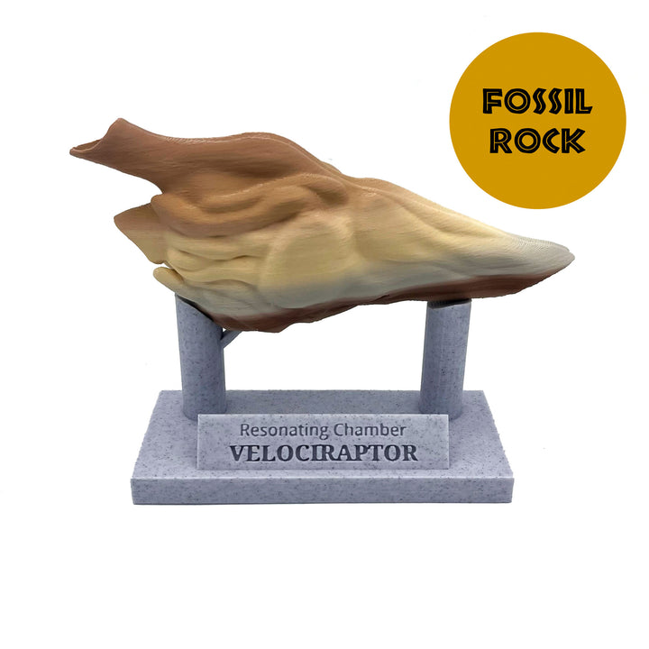 Velociraptor Resonating Chamber
