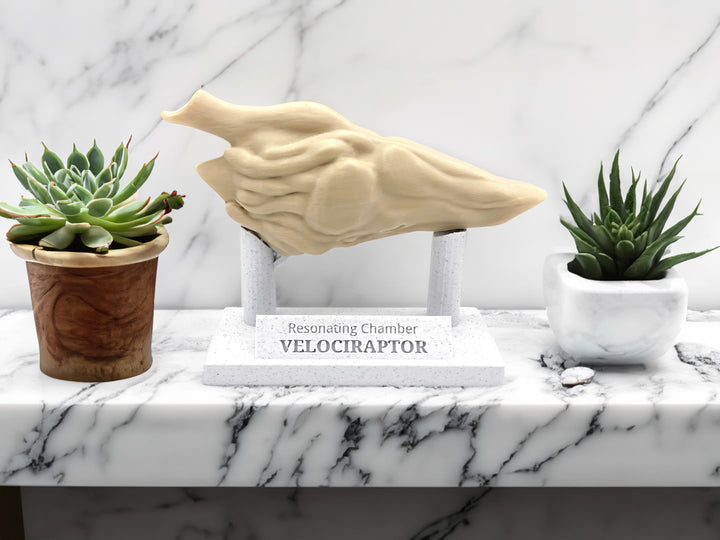 Velociraptor Resonating Chamber