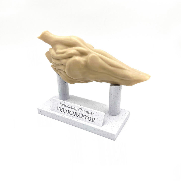 Velociraptor Resonating Chamber