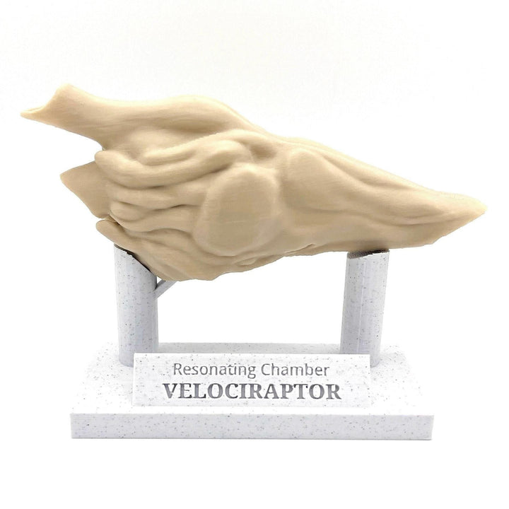 Velociraptor Resonating Chamber