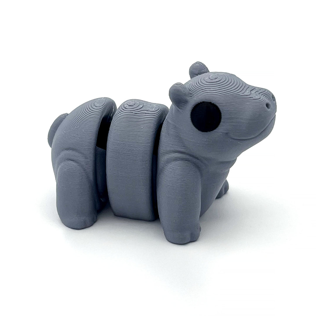 Baby Hippopotamus