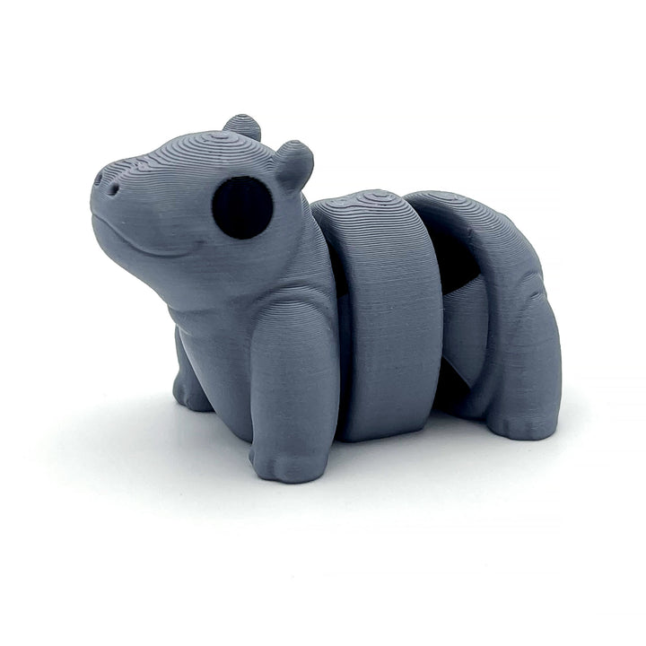 Baby Hippopotamus