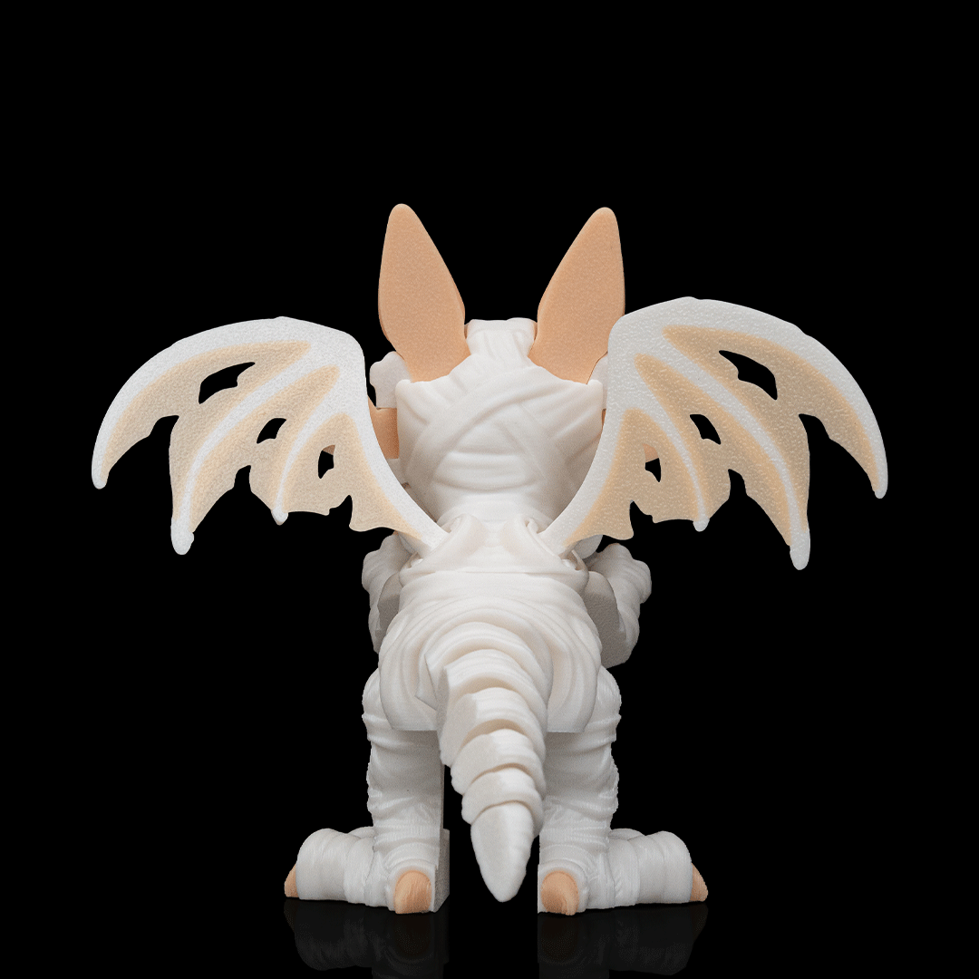 The Wrapped Dragon