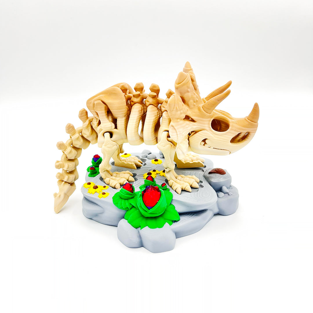 Triceratops Skeleton Figure