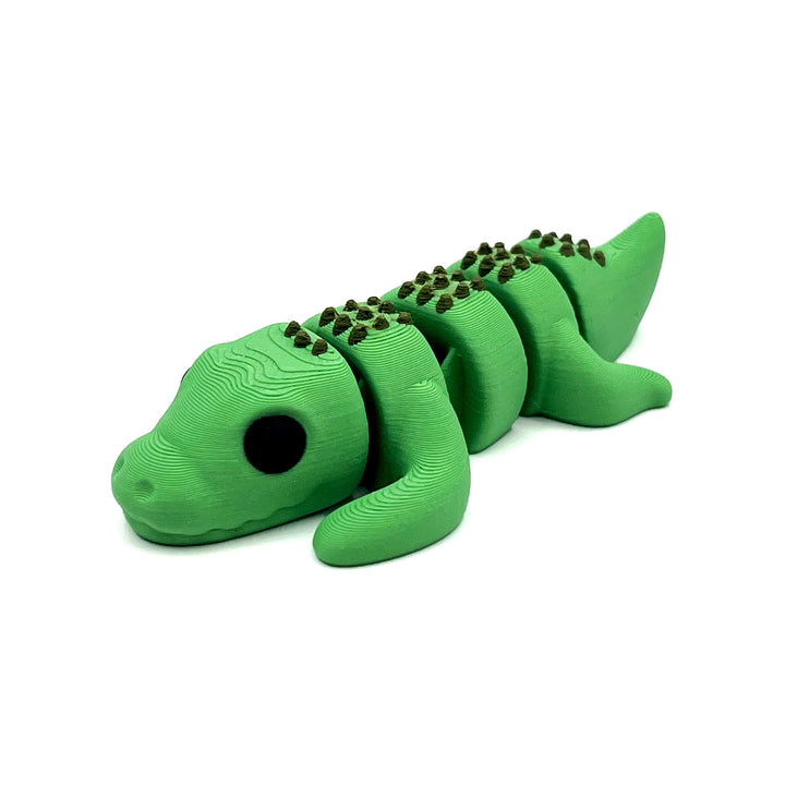 Baby Alligator