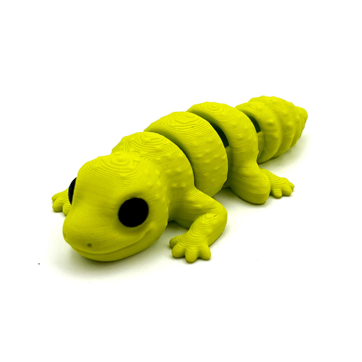 Baby Gecko