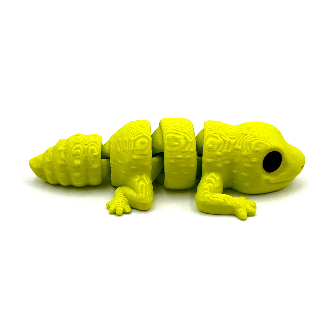 Baby Gecko