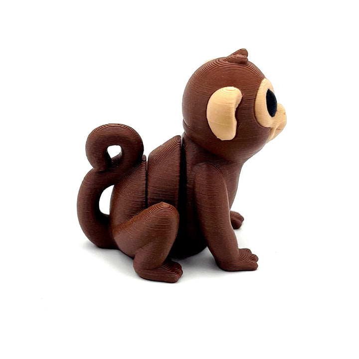 Baby Monkey