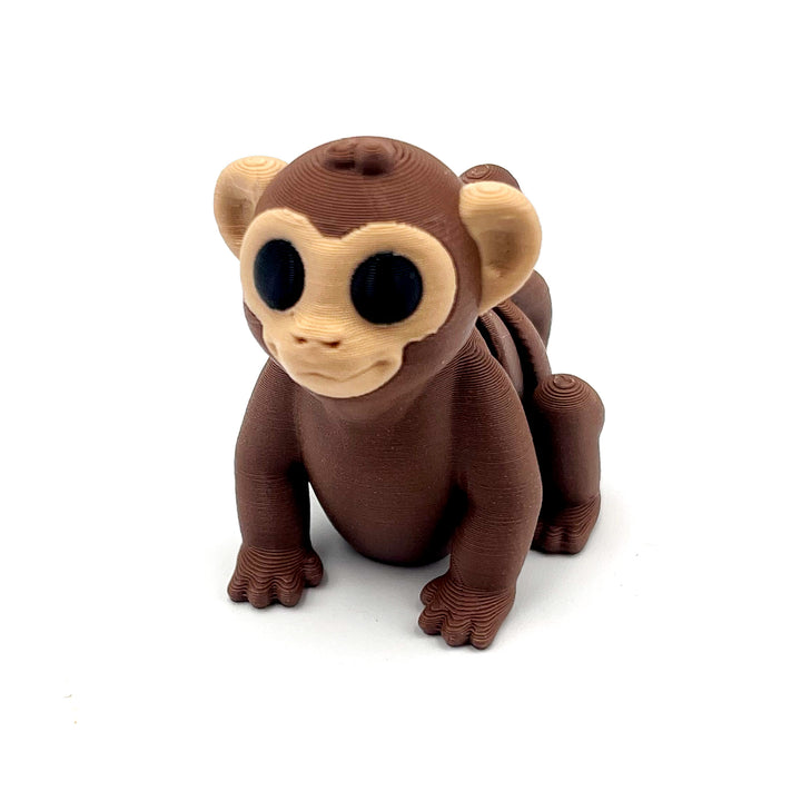 Baby Monkey