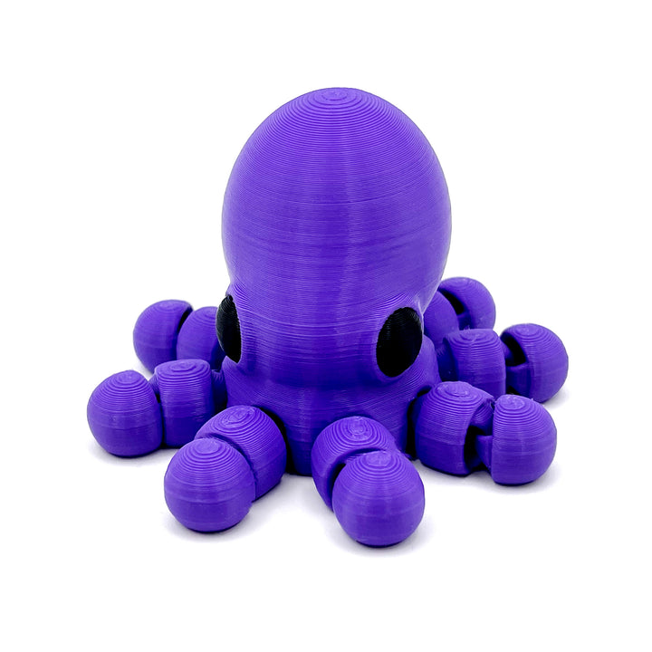 Baby Octopus