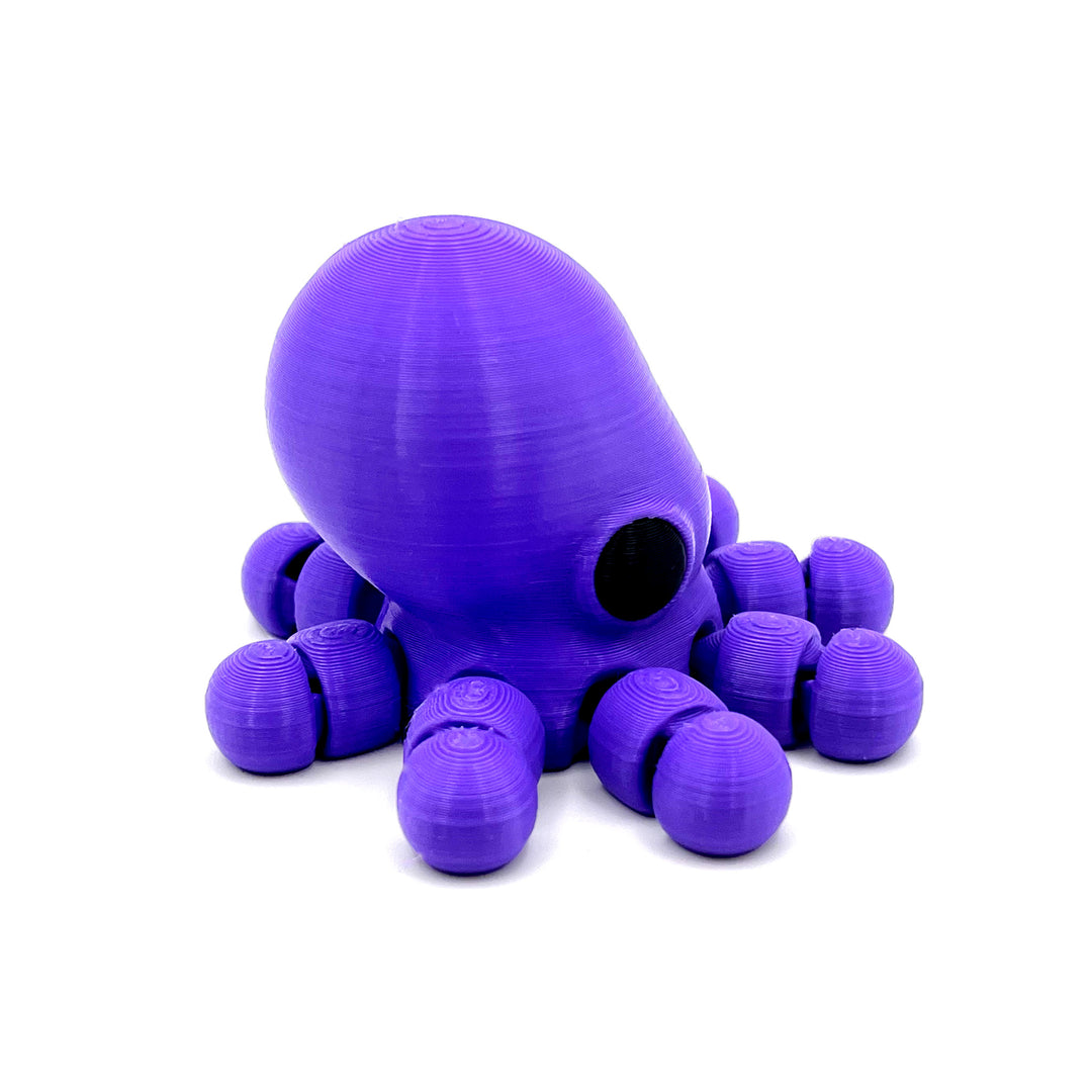 Baby Octopus