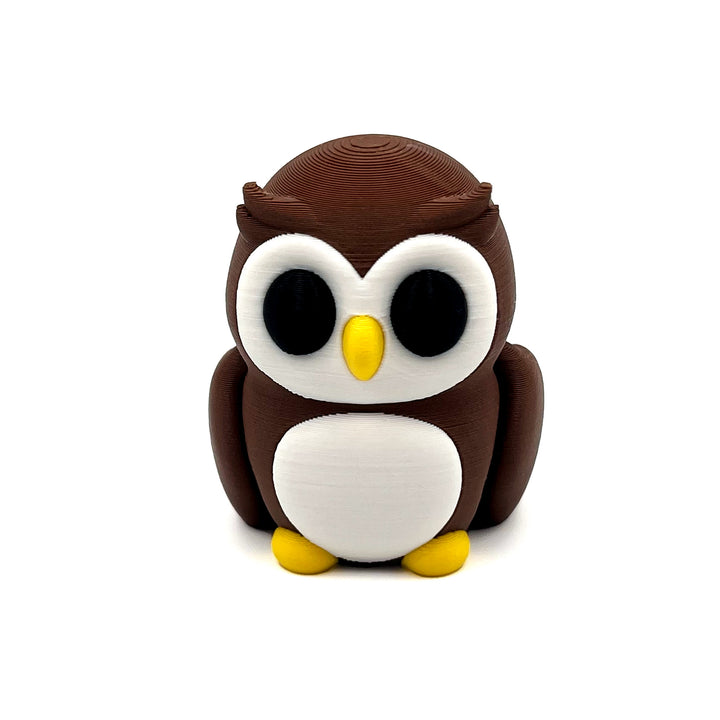 Baby Owl