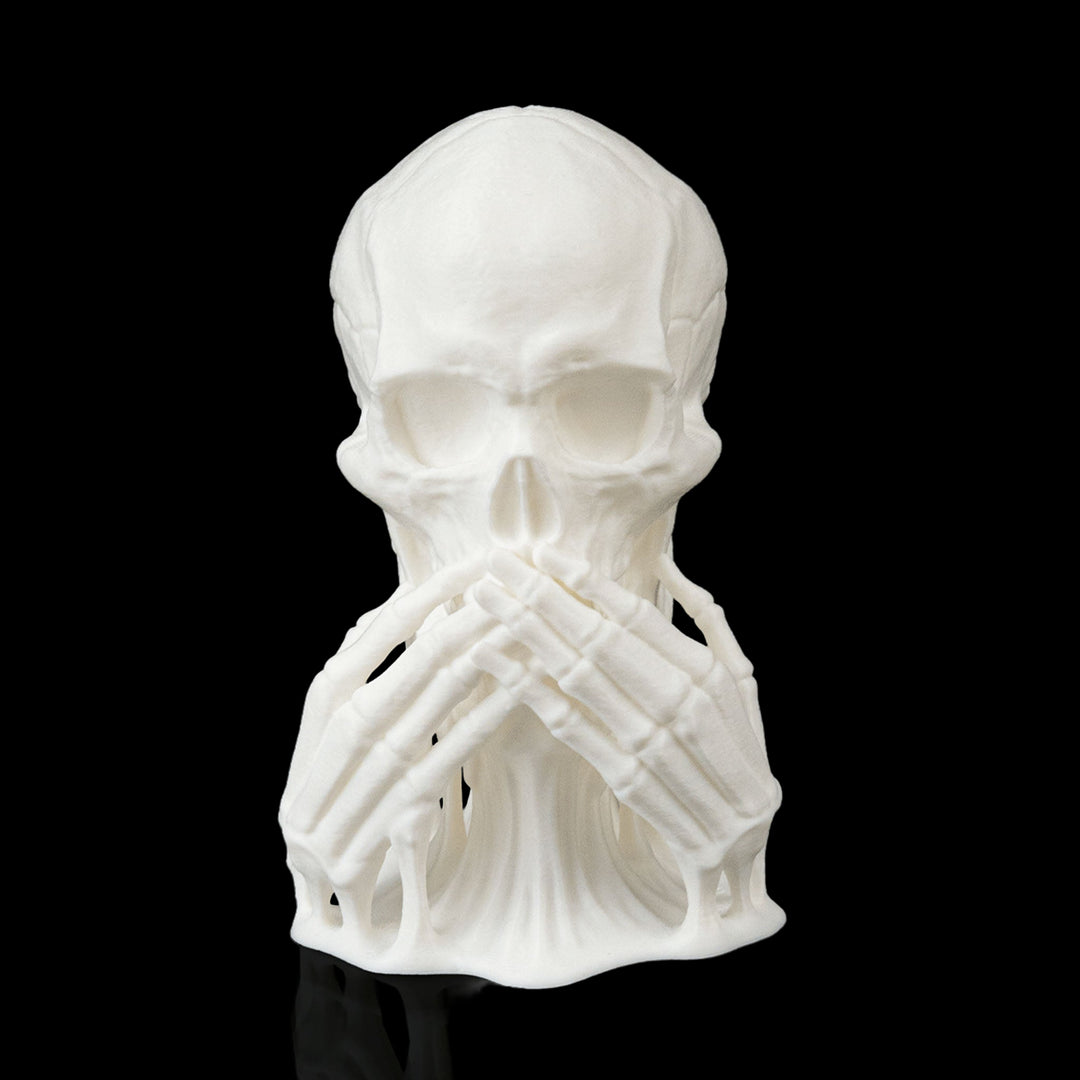 Skulls of Wisdom