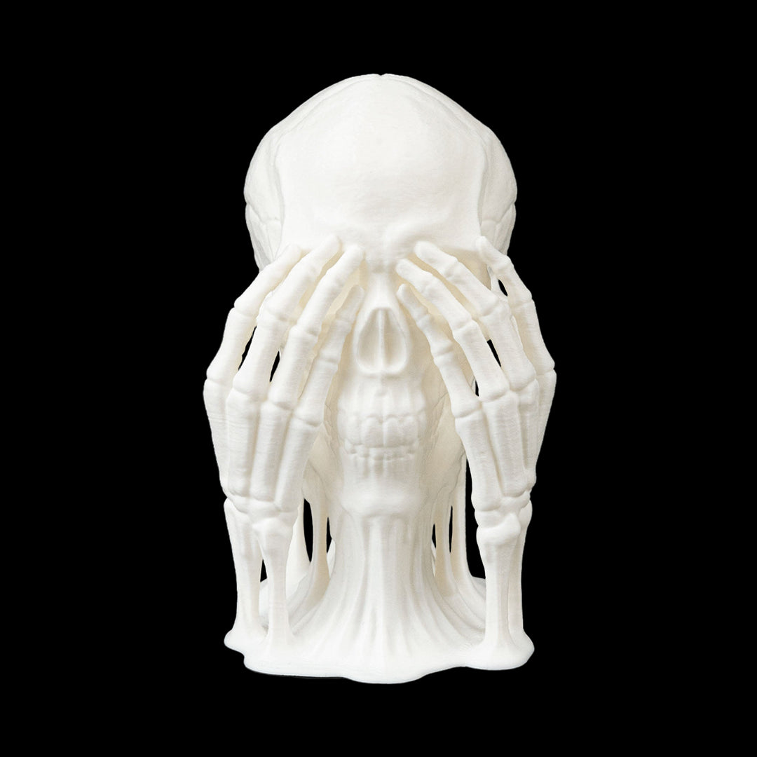 Skulls of Wisdom