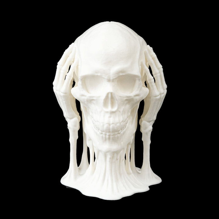 Skulls of Wisdom