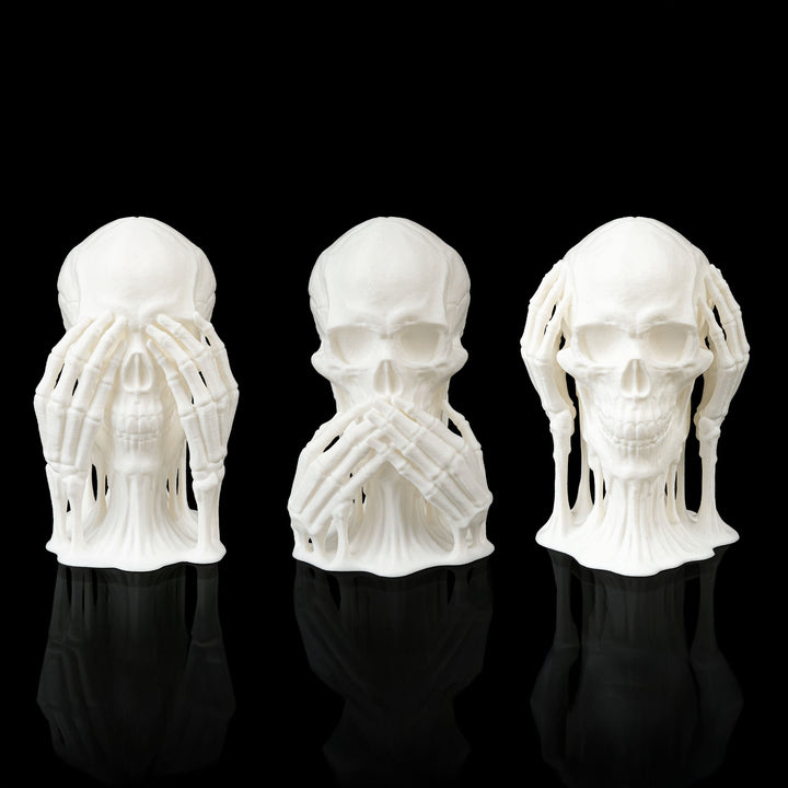 Skulls of Wisdom