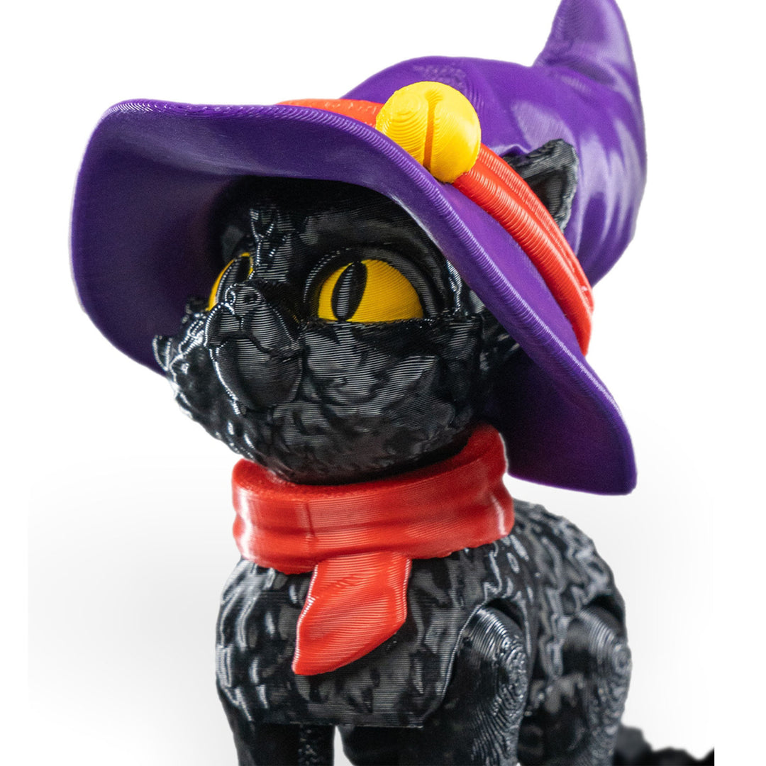 Witch Cat