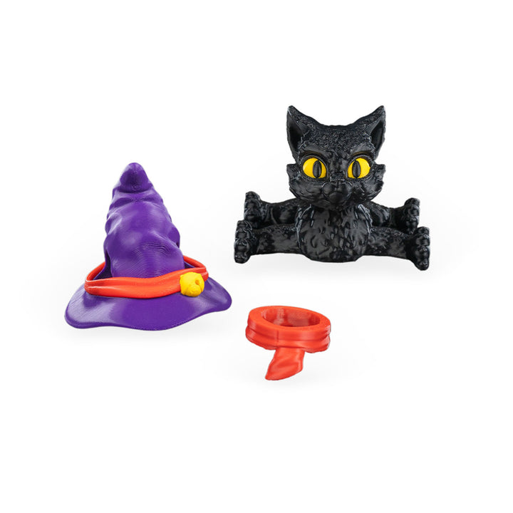 Witch Cat