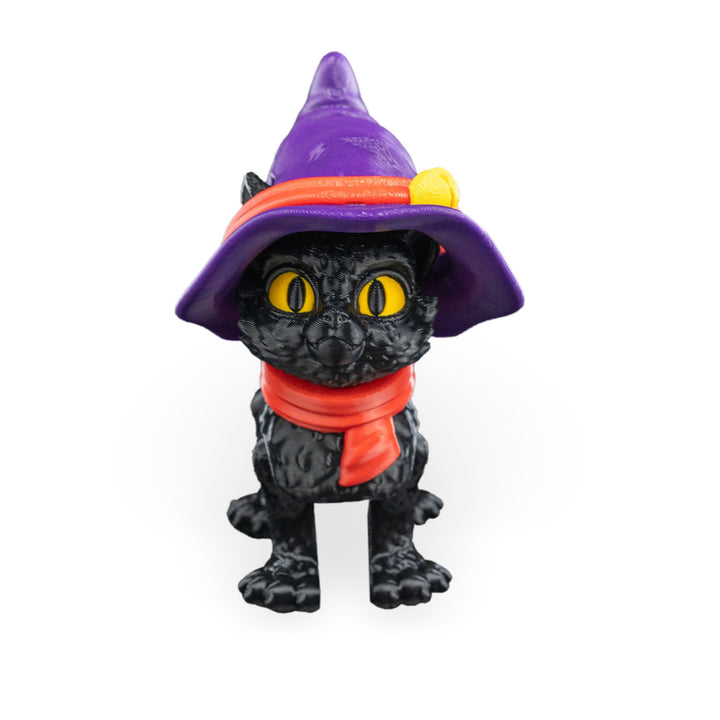 Witch Cat