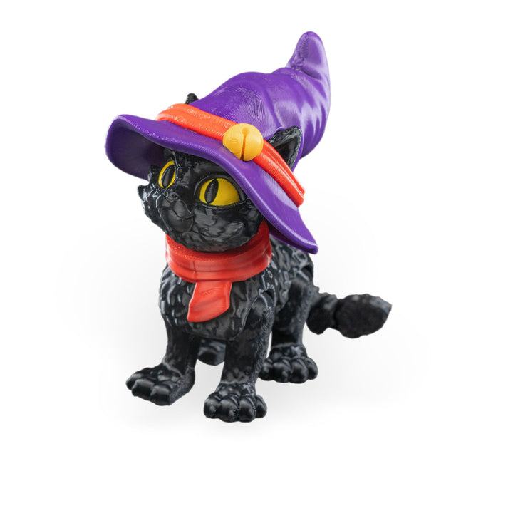 Witch Cat