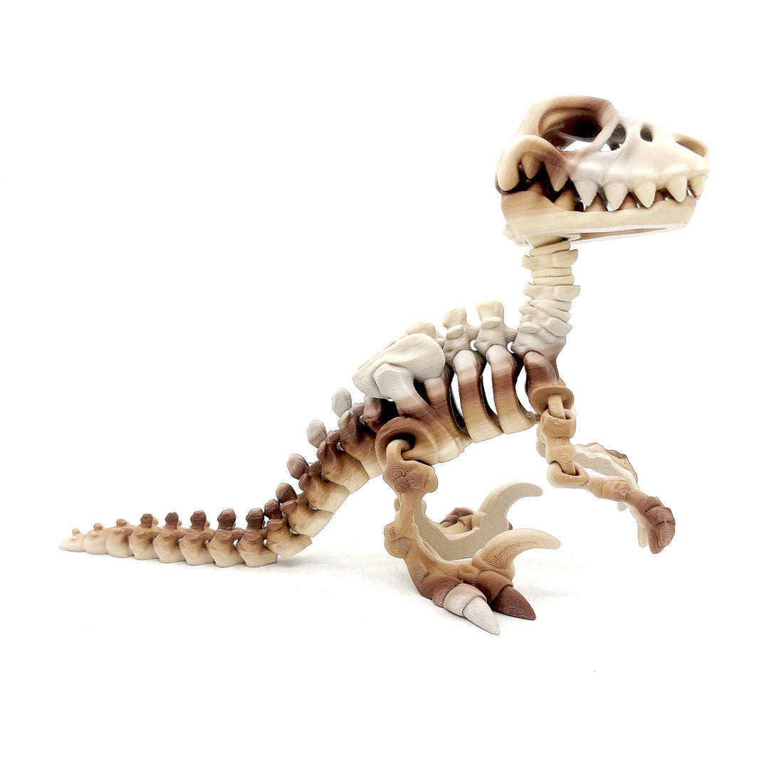 Velociraptor Skeleton Figure