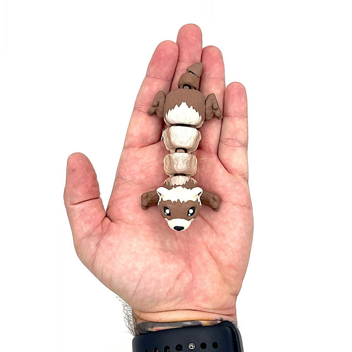 Mini Ferret