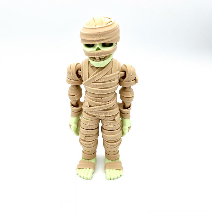 Mummy with Sarcophagus